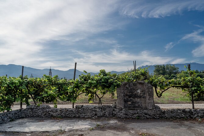 Pompeii Vineyard Escape: Private Wine Tasting & Lunch - Flexibility and Practical Details