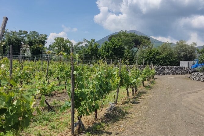 Pompeii & Wine Tasting: Private Day Tour from Naples - Pacing and Timing of the Tour