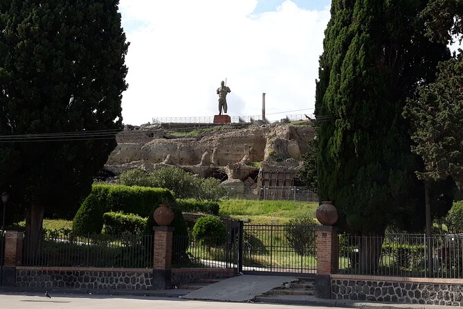 Pompeii & Wine Tasting: Private Day Tour from Naples - Who Should Consider This Tour