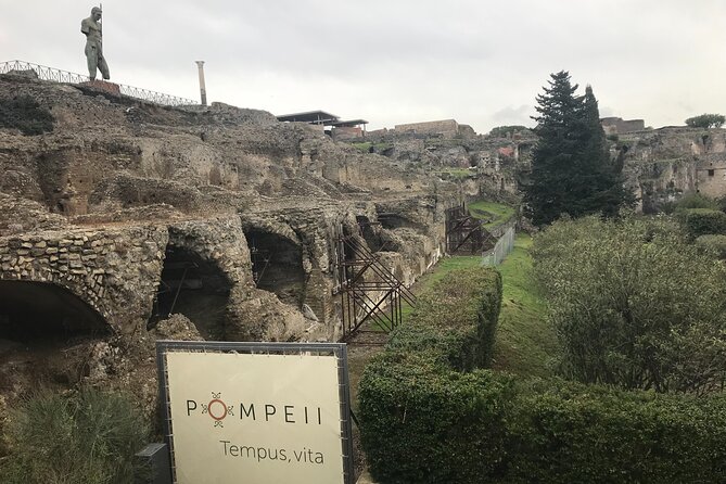 Pompeii Wine Tasting Tour from Positano - Pompeii Archaeological Park: An In-Depth Guided Tour
