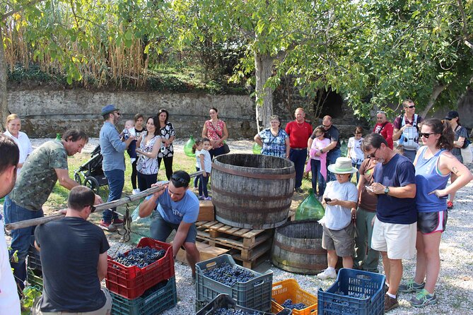 Pompeii Wine Tasting Tour from Positano - Value and Overall Impression