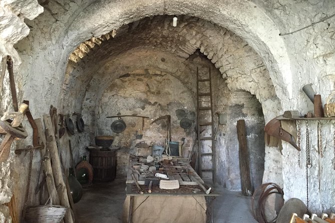 Pompeii-Wine tasting tour from Sorrento, licensed guide included - Scenic Lunch and Wine Tasting at Cantina del Vesuvio