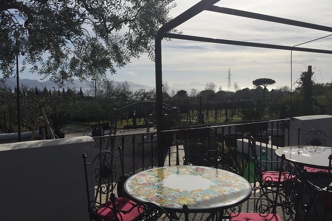 Pompeii-Wine tasting tour from Sorrento, licensed guide included - Practical Details and Booking Tips