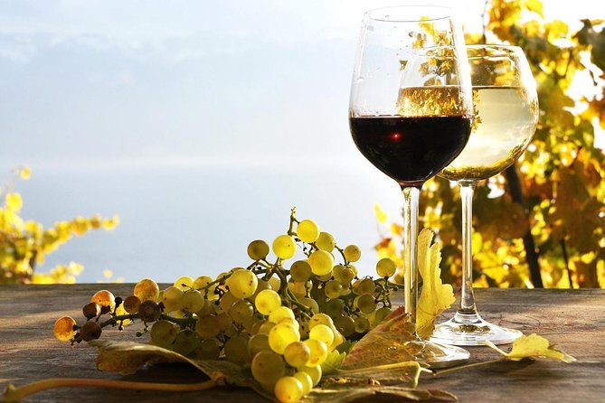 Pompeii & Wine Tour from Sorrento (tickets & lunch not included) - Exploring Pompeii’s Ancient Ruins