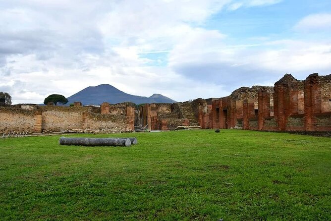 Pompeii & Wine Tour from Sorrento (tickets & lunch not included) - Suitable Audience for This Tour