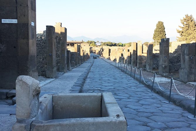 Pompeii with an archaeologist, 3h detailed visit ... - Practical Tips and Considerations