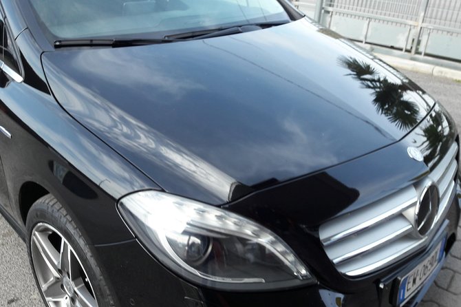 Pompeii,Naples and Pizza Private Tour - The Tour Begins with Pompeiis Archaeological Site