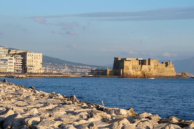 Pompeii,Naples and Pizza Private Tour - Authentic Neapolitan Pizza Experience