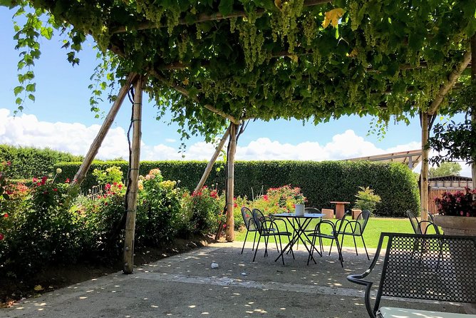 Pompeii,Naples and Pizza Private Tour - Final Thoughts on the Pompeii, Naples, and Pizza Tour