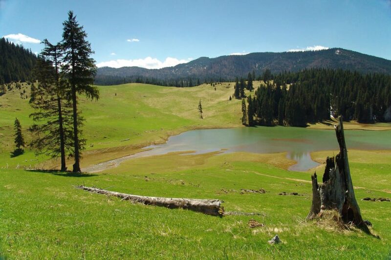 Ponor Fortress:1 day tour visit the greatest Romanian cave - What’s Included and What You Need to Bring