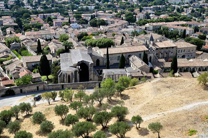 Pont du Gard to Villeneuve Les Avignon & Châteauneuf du Pape wine private tour - Tasting France’s Famous Châteauneuf du Pape Wines at Chateau Fortia