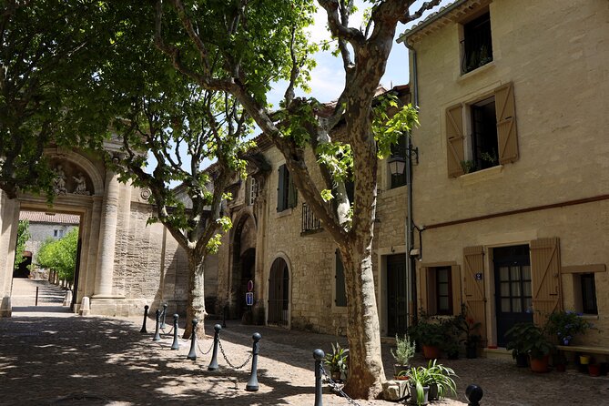 Pont du Gard to Villeneuve Les Avignon & Châteauneuf du Pape wine private tour - Practical Details: Transportation, Timing, and Comfort