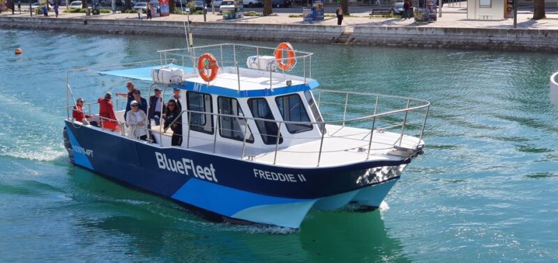 Ponta da Piedade: Half-Day Cruise with Lunch from Lagos - Key Points