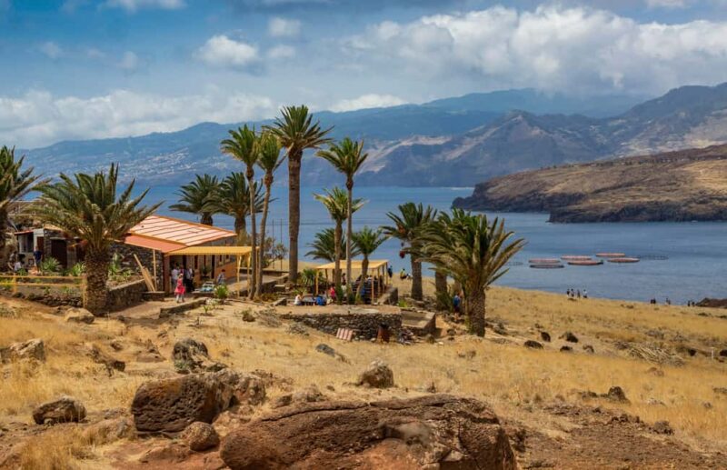 Ponta de Sao Lourenco: Volcanic Beauty & Ocean Views Tour - Practical Details: Logistics and Comfort