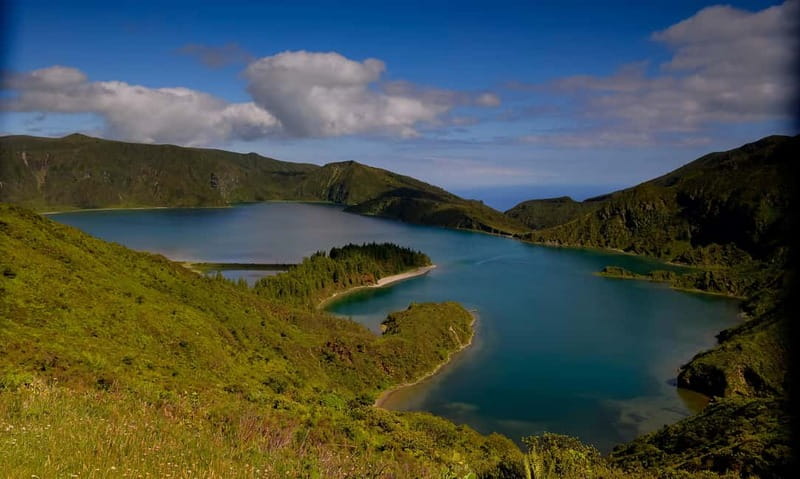 Ponta Delgada: Apiary Guided Tour - Discover the Azores with a Guided Apiary Tour from Ponta Delgada