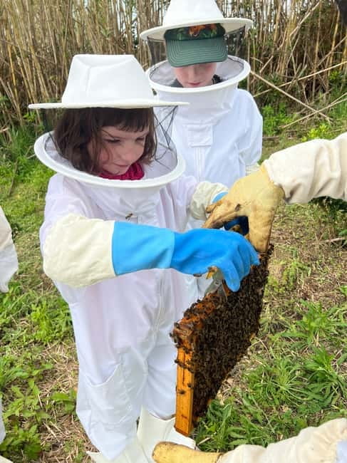 Ponta Delgada: Apiary Guided Tour - Discovering the Azorean Pineapple Plantation