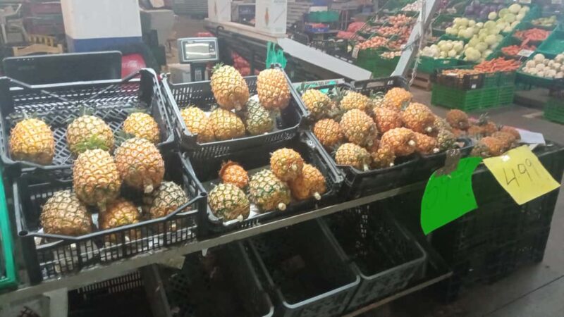 Ponta Delgada: Fat Dolphin Food Tours - Tasting the Best of Azorean Cheese at Two Local Shops