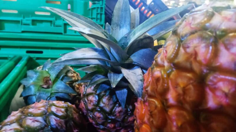 Ponta Delgada: Fat Dolphin Food Tours - The Role of the Guide in Creating a Personal Experience