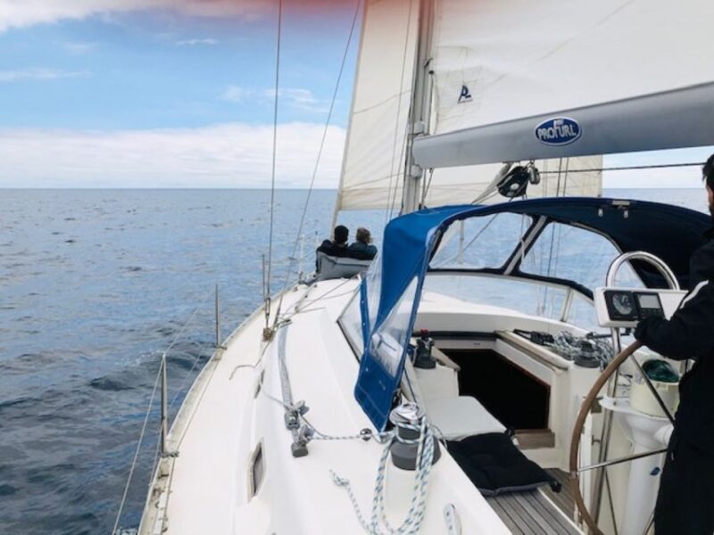 Ponta Delgada Full Day Sailing Tour with Drinks and Snacks - Tasting Azorean Snacks and Drinks Onboard