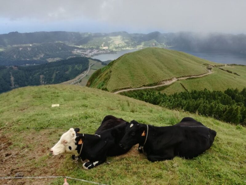 Ponta Delgada: Full-Day Sete Cidades 4X4 Tour with Lunch - Flexibility and Booking Options