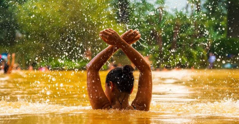 Ponta Delgada: Full-Day Van Tour to Furnas Valley - Visiting Gorreana Tea Factory: Europes Oldest Tea Plantation