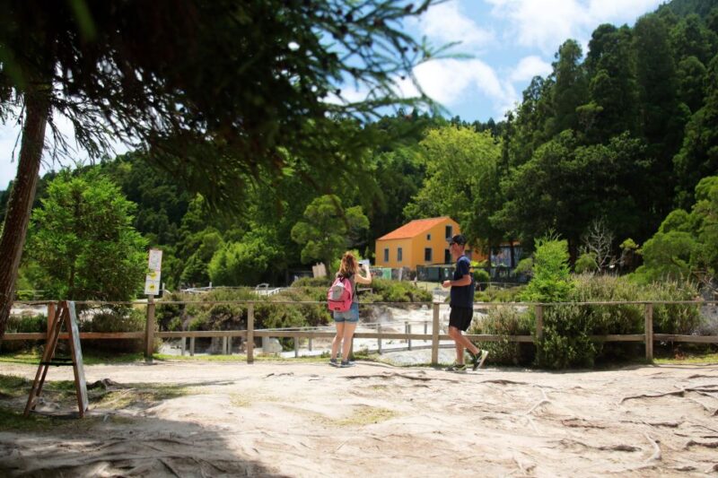 Ponta Delgada: Full-Day Van Tour to Furnas Valley - Discovering Terra Nostra Botanical Garden and Thermal Bath