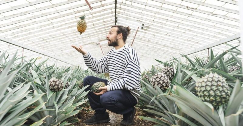 Ponta Delgada: Pineapple wine tasting and pineapple tour - The Guide and Personal Experience