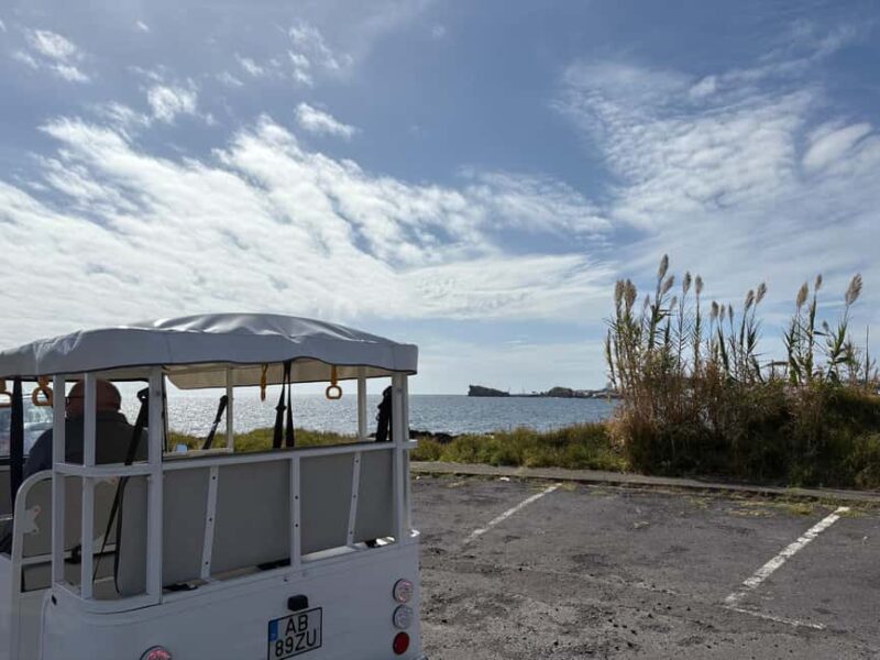 Ponta Delgada: Private City Tour by Electric Tuk Tuk - Limitations and Considerations