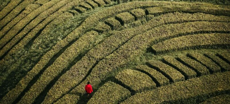 Ponta Delgada: São Miguel island 2-Day Tour Highlights - Key Points