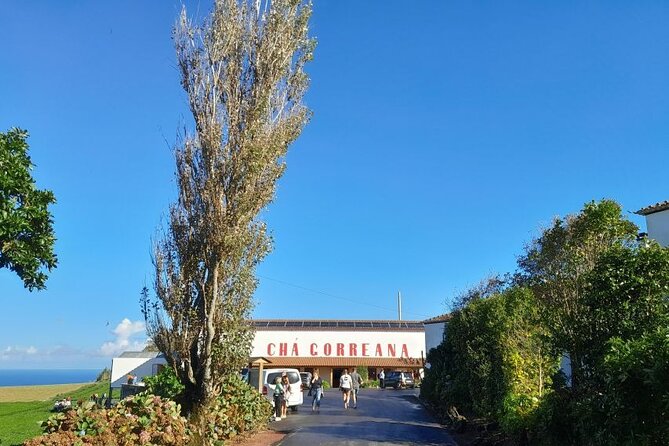 Ponta Delgada: Seven Cities & Furnas Volcano Shore Excursion Tour - What’s Included and What to Consider