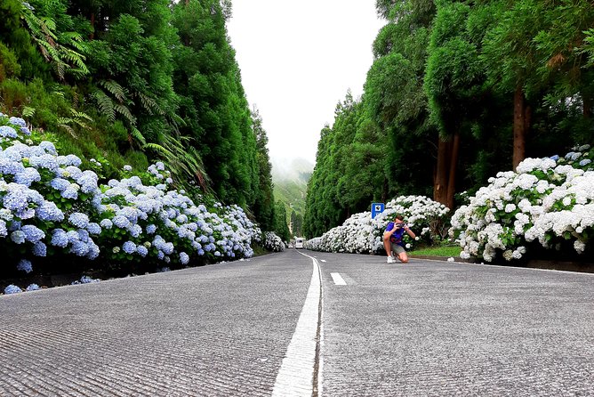 Ponta Delgada: Shore Excursion, Sete Cidades, Blue & Green Lake - The Tour Starts with a Pineapple Plantation Visit at Ananas Santo Antonio