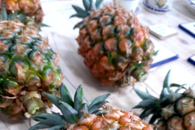 Ponta Delgada: Shore Excursion, Sete Cidades, Blue & Green Lake - Guided by True Azorean Spirit with Local Storytellers