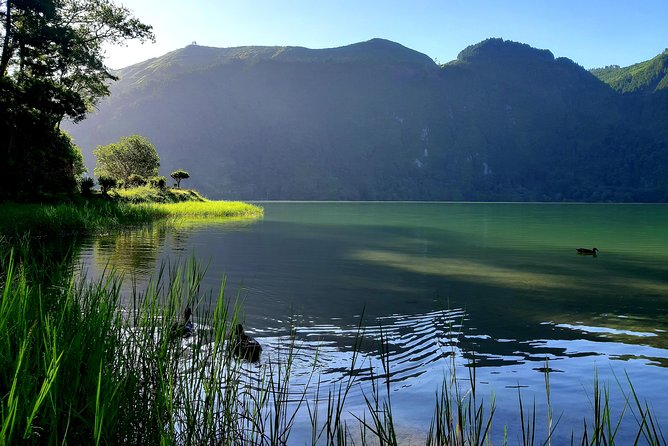 Ponta Delgada: Shore Excursion, Sete Cidades, Blue & Green Lake - Step-by-Step Itinerary Breakdown