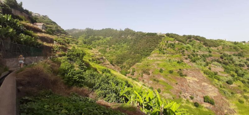 Ponta do Sol: Guided tour of the banana plantations by a local - Additional Excursion Options for Nature Lovers