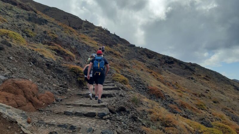 Ponta São Lourenço: Private Guided Walk PR8 - Logistics and Practical Tips for a Smooth Experience