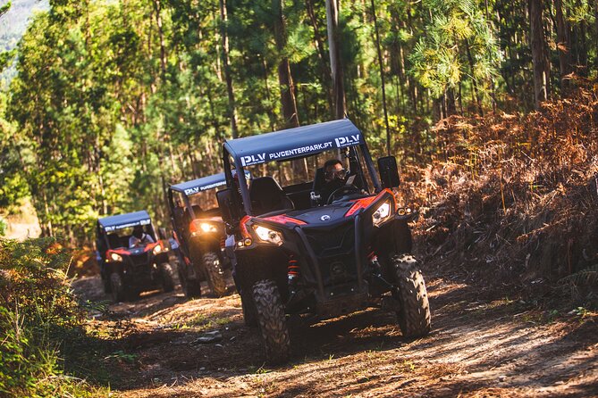 Ponte de Lima Guided Buggy Tour - Highlights: Wild Horses and Panoramic Views