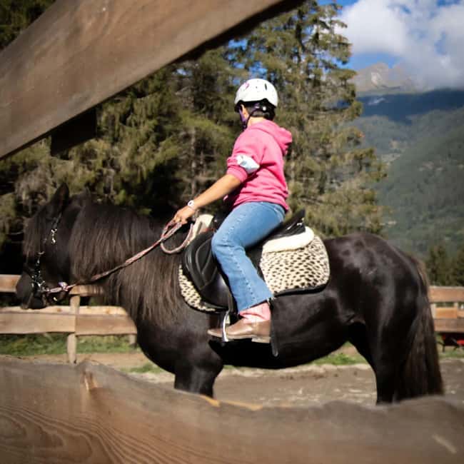 Pontedilegno-Temù: Val d'Avio Horseback Ride with Guide - The Role of Guides and Support During the Ride