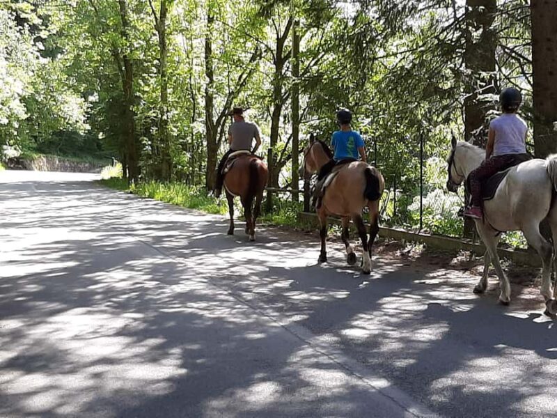 Pontedilegno-Temù: Val d'Avio Horseback Ride with Guide - Accessibility and Additional Amenities