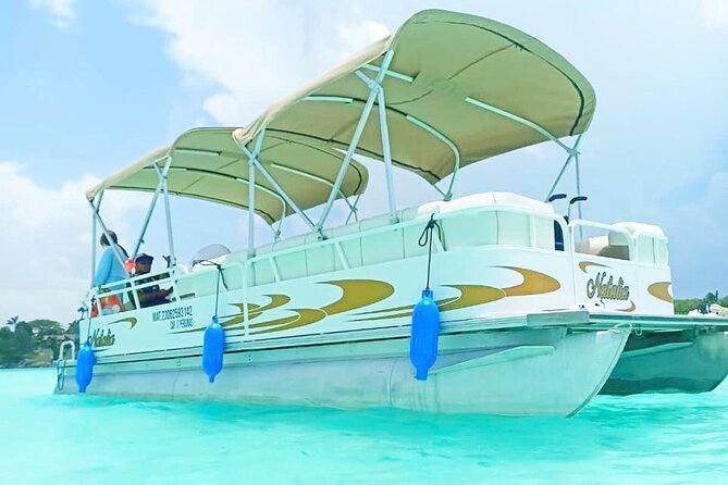 Pontoon Tour of the Bacalar Lagoon - Cenote Cocalitos and the Stromatolites Sanctuary