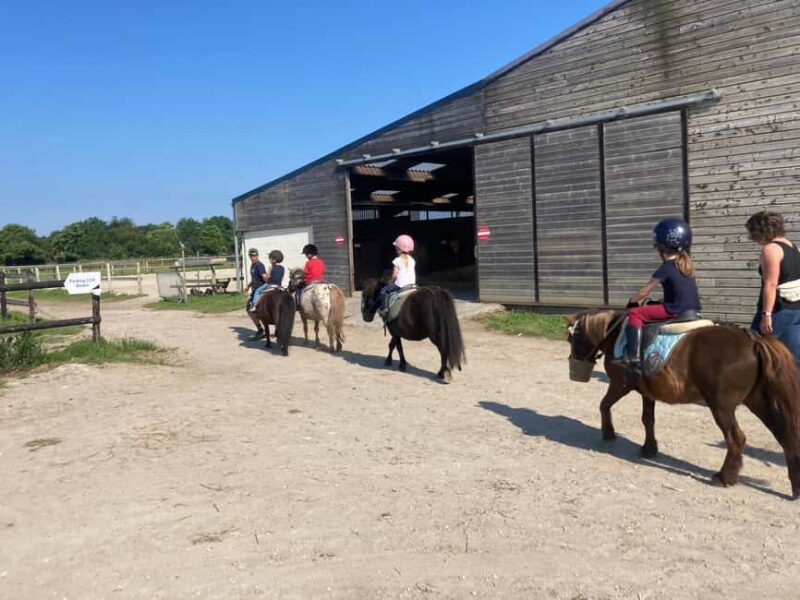PONY DISCOVERY RIDE - Forest Trail Exploration with Well-Behaved Ponies