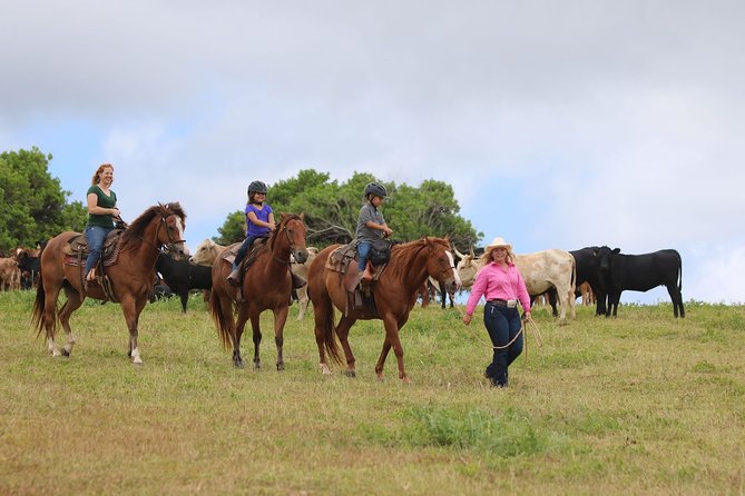 Pony Rides For Kids - Location and Meeting Point at Gunstock Ranch