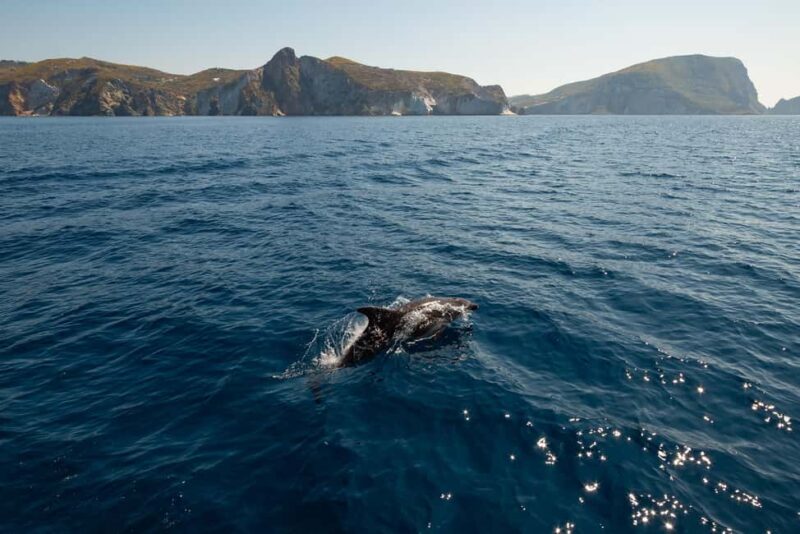 Ponza: Palmarola & Ponza Island Cruise with Swimming & Lunch - Visiting Ponza’s Famous Sea Stacks and Caves