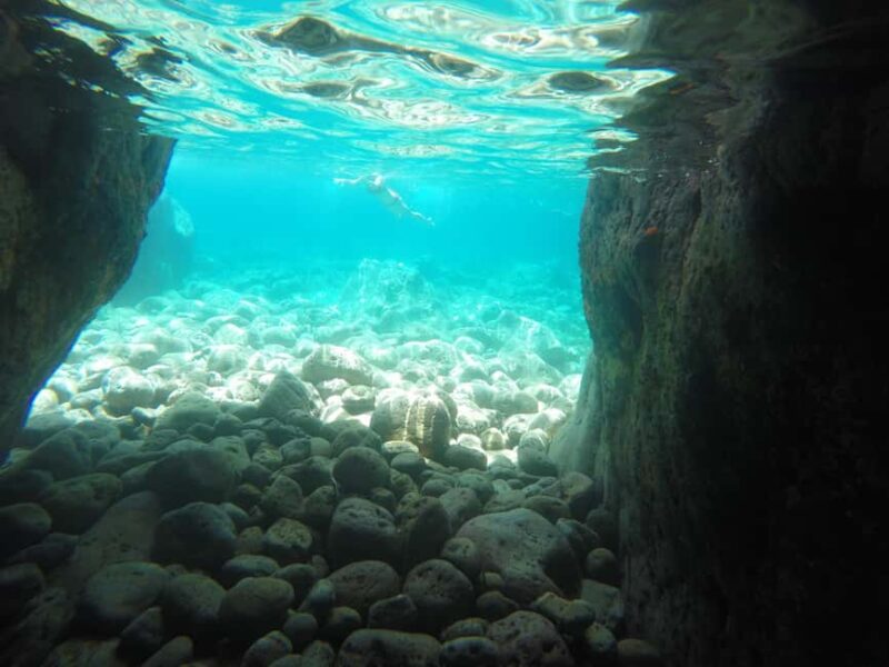 Ponza: Palmarola & Ponza Island Cruise with Swimming & Lunch - Swimming and Relaxing in the Natural Pools