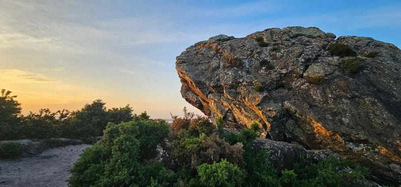 Poole: Ebike excursion to Old Harry with Ebike4you - High Praise from Past Participants