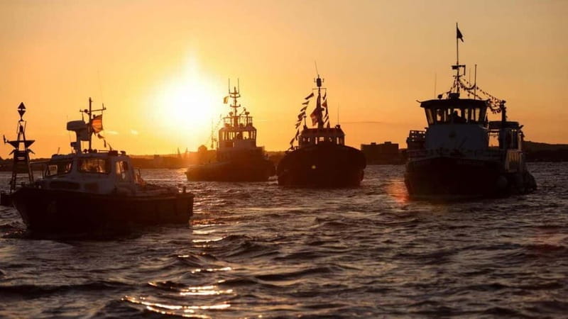 Poole: Fish and Chips Evening Cruise - Poole: Fish and Chips Evening Cruise – A Delightful Harbour Experience