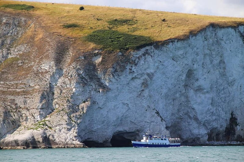 Poole: Jurassic Coast Circular Cruise - Who Should Book This Tour?