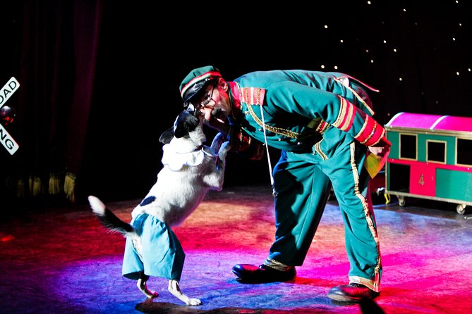 Popovich Comedy Pet Theater at Planet Hollywood Resort and Casino - What to Expect from the Shows Pacing and Content