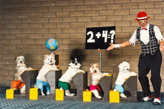 Popovich Comedy Pet Theater at Planet Hollywood Resort and Casino - The Show’s Notable Highlights and Unique Features