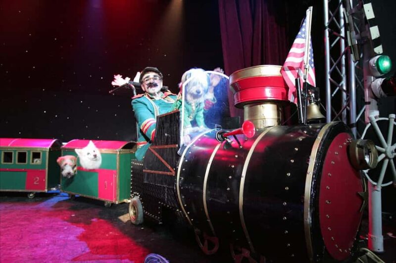 Popovich Comedy Pet Theater in Las Vegas - Gregory Popovichs Skills and Stage Presence