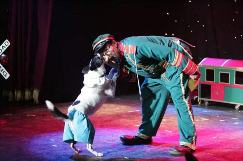 Popovich Comedy Pet Theater in Las Vegas - Accessibility and Practical Considerations